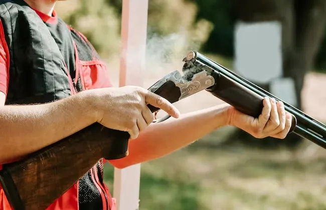 Imagem ilustrativa da imagem 