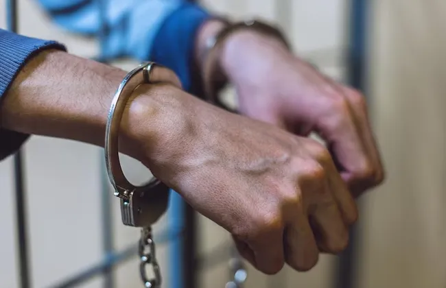 Imagem ilustrativa da imagem 