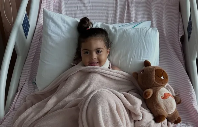 Imagem ilustrativa da imagem 