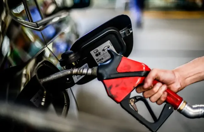 Imagem ilustrativa da imagem 