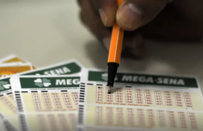 Imagem ilustrativa da imagem 