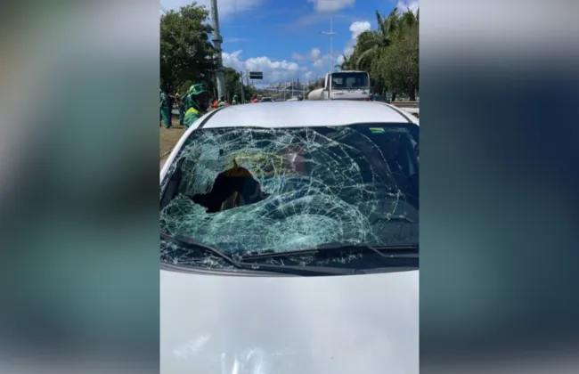 Imagem ilustrativa da imagem 