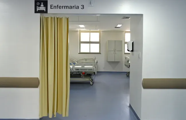 Imagem ilustrativa da imagem 