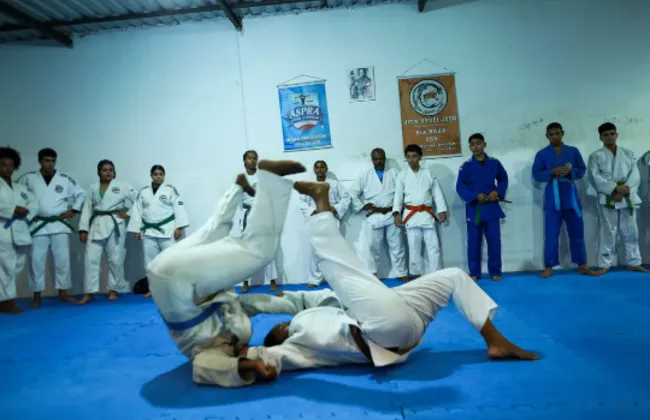 Imagem ilustrativa da imagem 