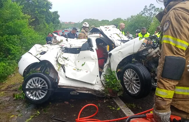 Imagem ilustrativa da imagem 