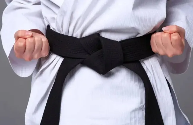 Imagem ilustrativa da imagem 