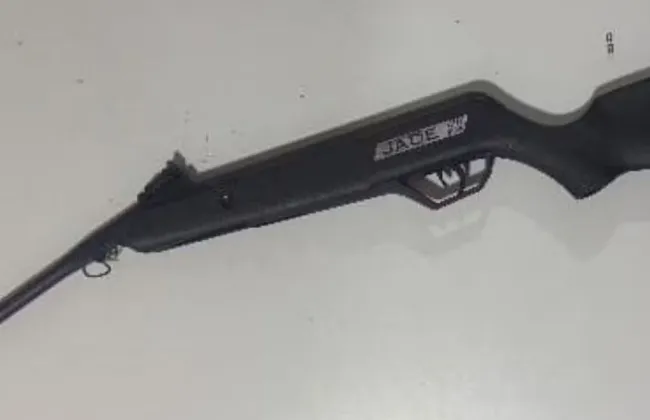 Imagem ilustrativa da imagem 