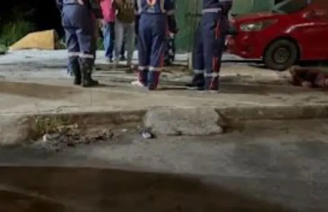 Imagem ilustrativa da imagem 