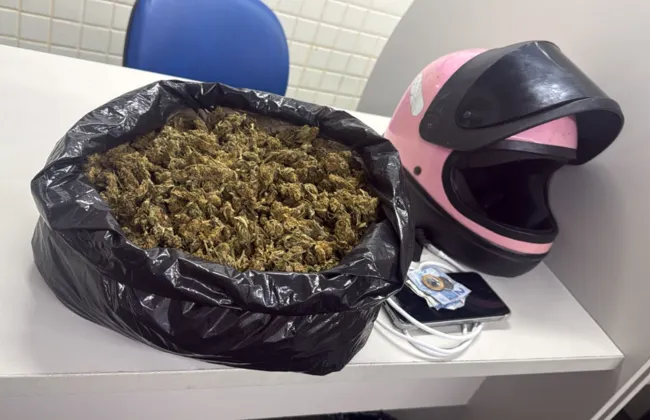 Imagem ilustrativa da imagem 