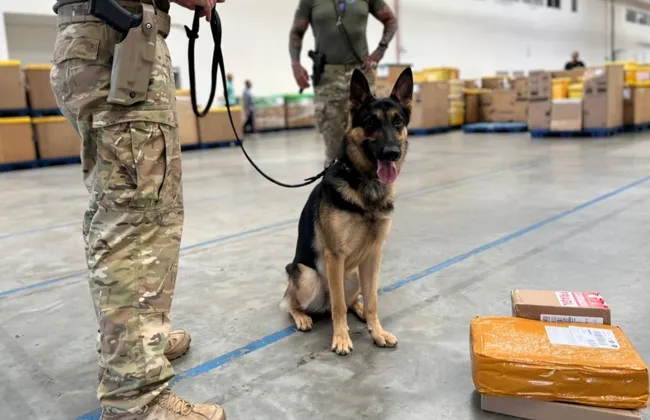 Imagem ilustrativa da imagem 