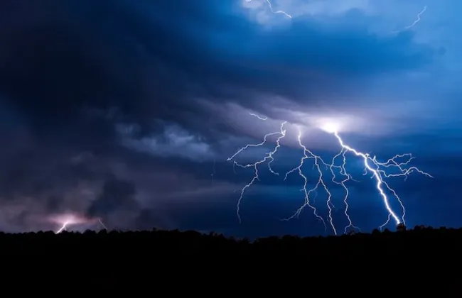 Imagem ilustrativa da imagem 