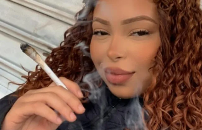 Imagem ilustrativa da imagem 