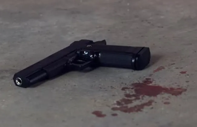 Imagem ilustrativa da imagem 