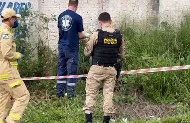 Imagem ilustrativa da imagem 