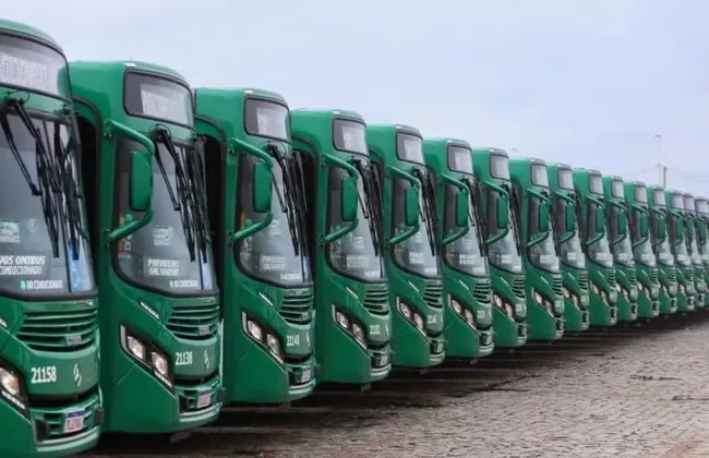 Imagem ilustrativa da imagem 