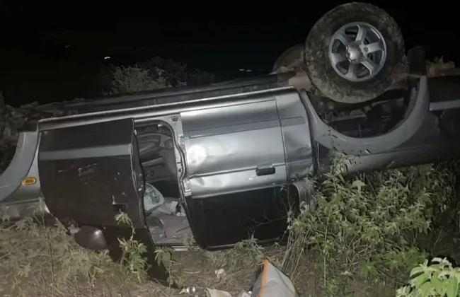 Imagem ilustrativa da imagem 