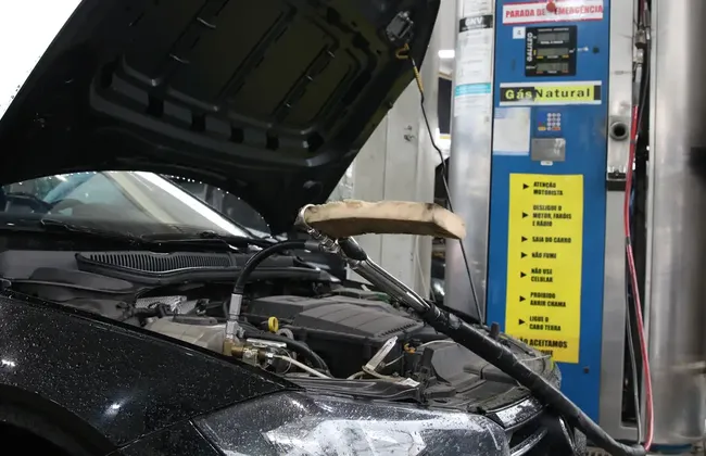 Imagem ilustrativa da imagem 