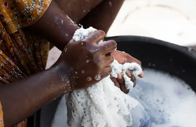 Imagem ilustrativa da imagem 