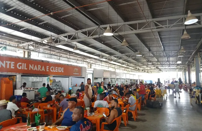 Imagem ilustrativa da imagem 