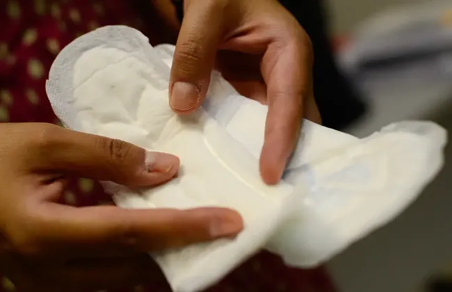 Imagem ilustrativa da imagem 