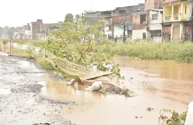 Imagem ilustrativa da imagem 