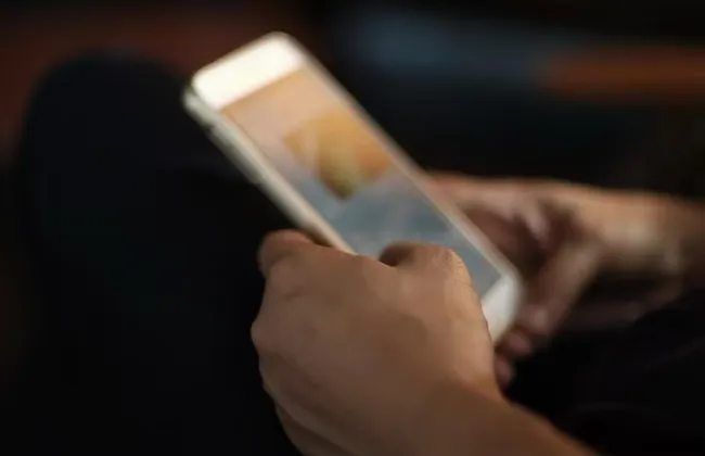 Imagem ilustrativa da imagem 