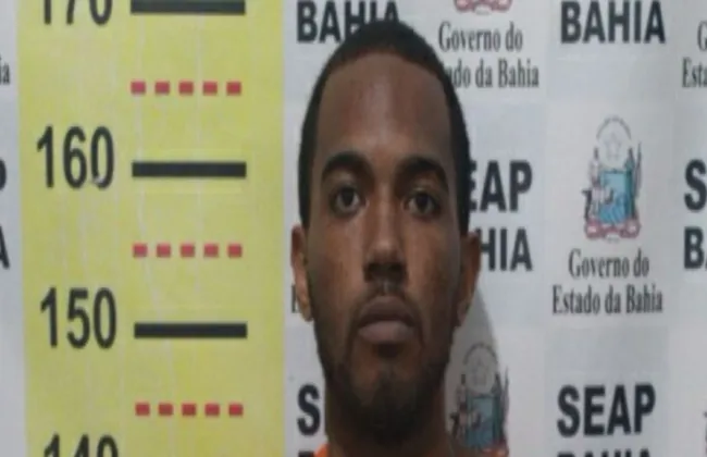 Imagem ilustrativa da imagem 