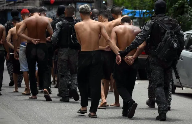 Imagem ilustrativa da imagem 