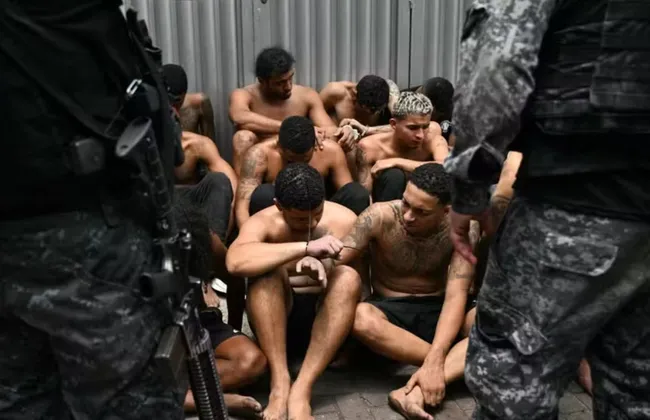 Imagem ilustrativa da imagem 