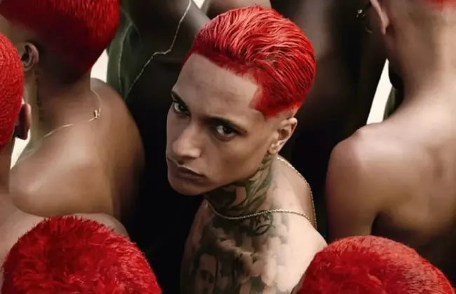 Imagem ilustrativa da imagem 