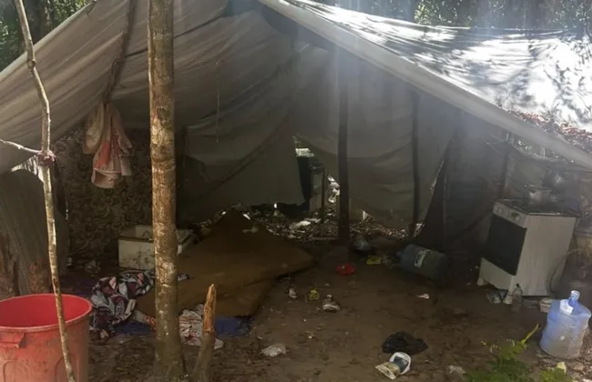 Imagem ilustrativa da imagem 