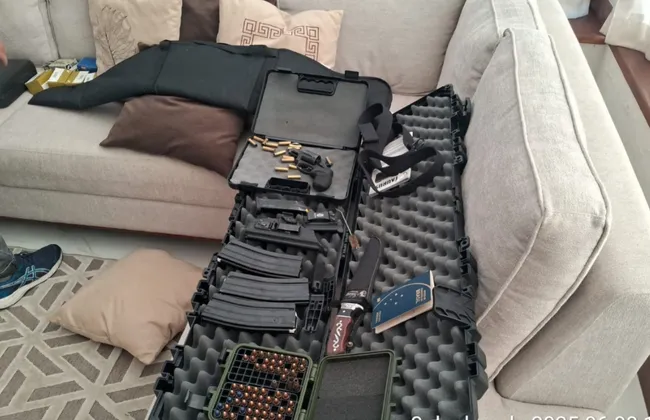 Imagem ilustrativa da imagem 