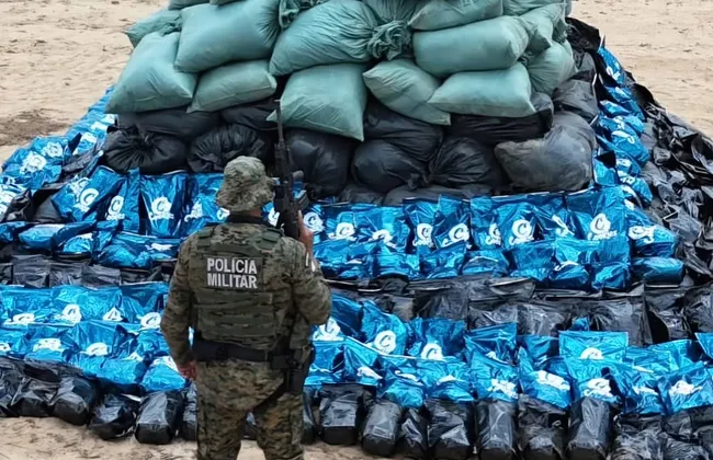 Imagem ilustrativa da imagem 