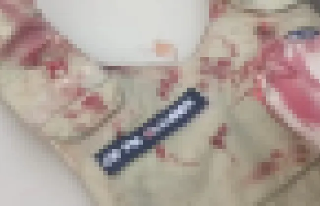 Imagem ilustrativa da imagem 