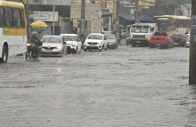 Imagem ilustrativa da imagem 