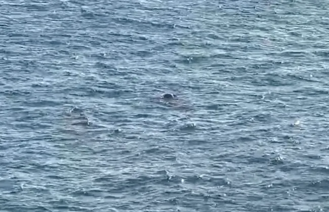 Imagem ilustrativa da imagem 