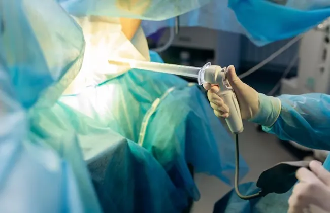 Imagem ilustrativa da imagem 