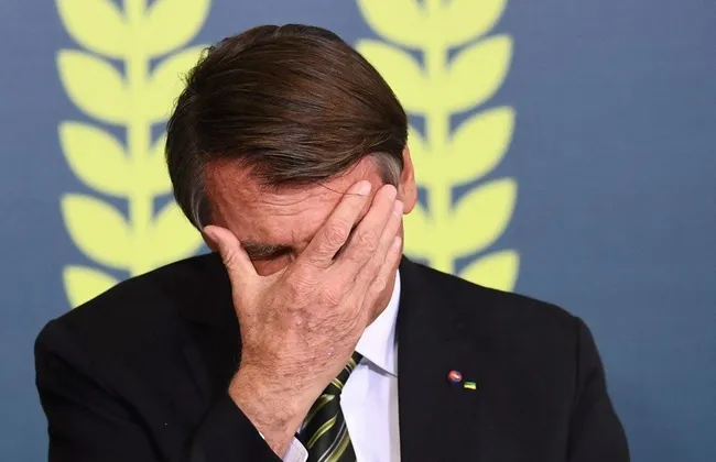 Imagem ilustrativa da imagem 