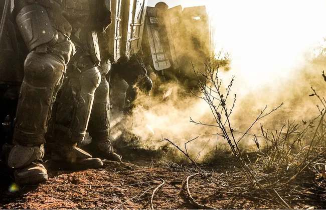 Imagem ilustrativa da imagem 