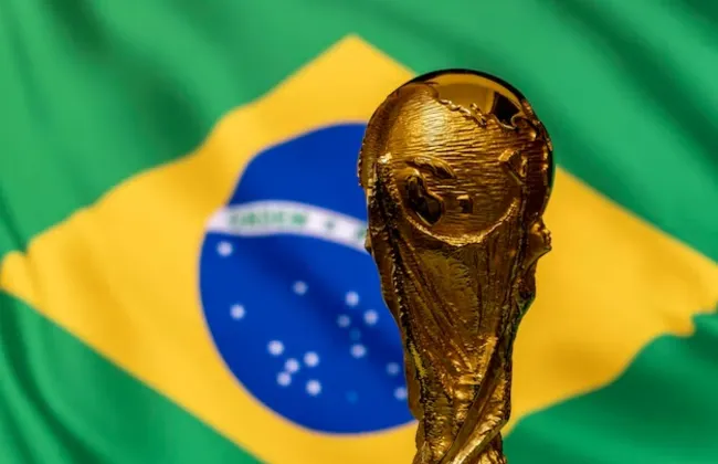 Imagem ilustrativa da imagem 