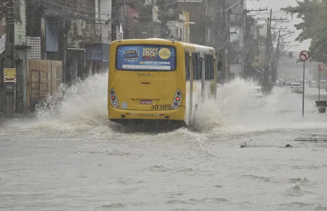 Imagem ilustrativa da imagem 