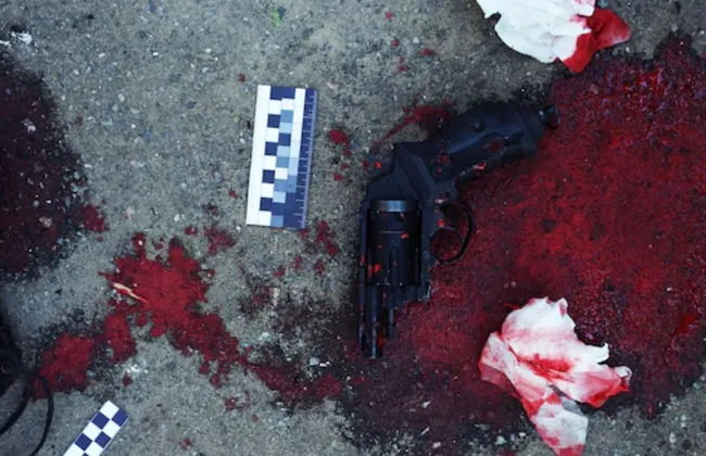 Imagem ilustrativa da imagem 