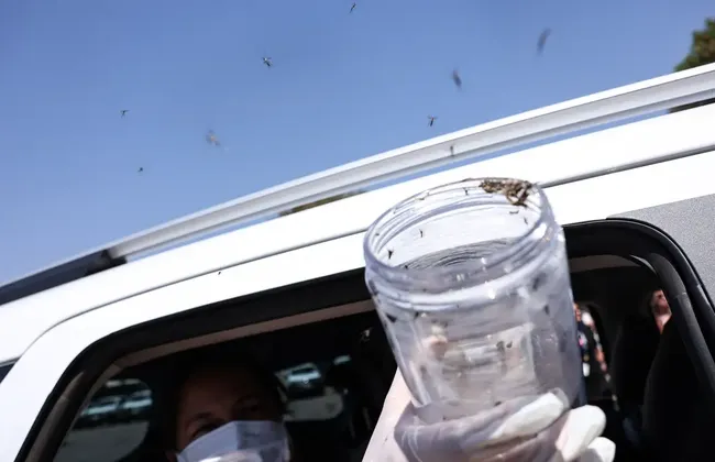 Imagem ilustrativa da imagem 