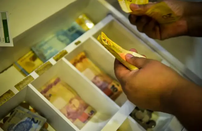 Imagem ilustrativa da imagem 