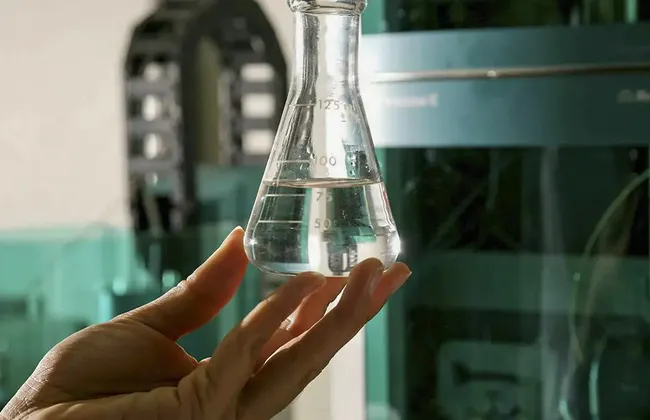 Imagem ilustrativa da imagem 