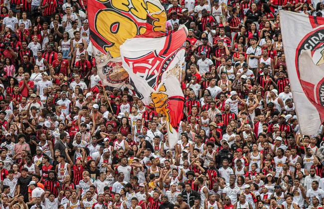 Imagem ilustrativa da imagem 