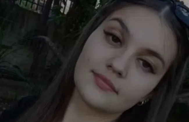 Imagem ilustrativa da imagem 