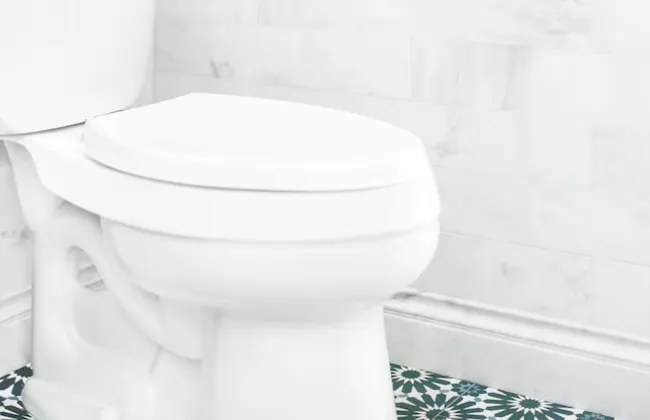 Imagem ilustrativa da imagem 