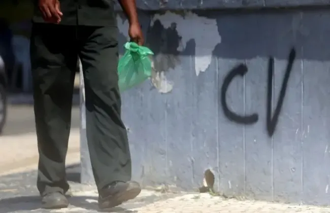 Imagem ilustrativa da imagem 