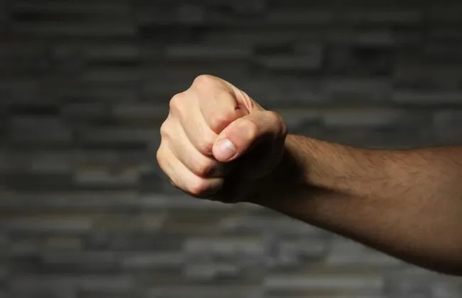 Imagem ilustrativa da imagem 